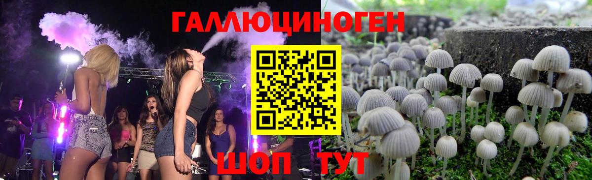 Псилоцибиновые грибы Cubensis Юрга